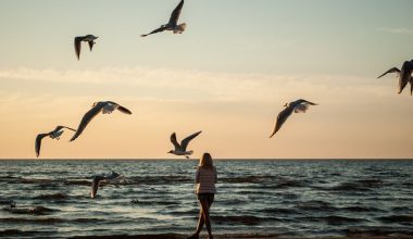 Bul Beni | Aslan Yılmaz