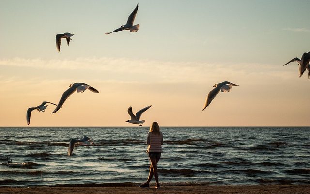 Bul Beni | Aslan Yılmaz