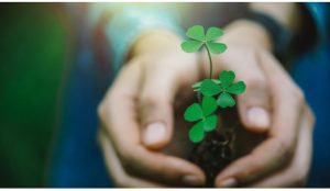 Gönül Suskunluğu | Ümmü Gülsüm Mert